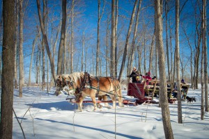 Outdoor activities Ontario