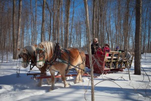 Winter fun for everyone