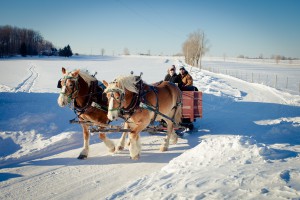 Valentines day activities