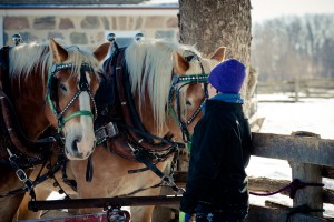 Winter outdoor activity