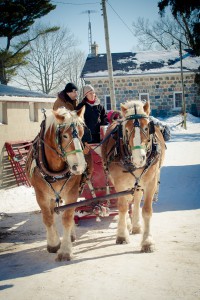 Sleigh ride