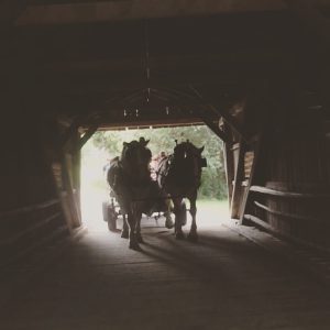 Corporate event Doon Village