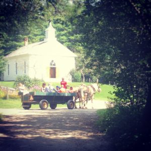 Horse drawn events