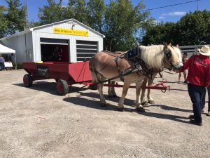 Corporate event wagon ride