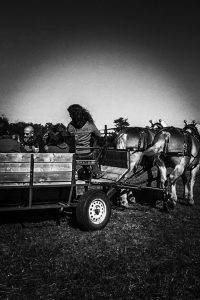 Bring the wagon to you