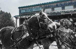 Corporate Wagon rides