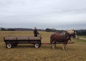 Corporate wagon rides