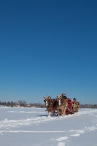 Group sleigh ride