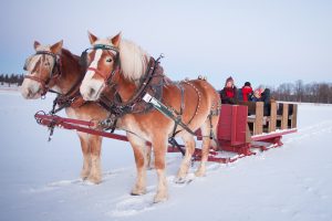 Winter outdoor fun sleigh ride